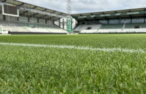 Bøde og betinget straf til Viborg FF